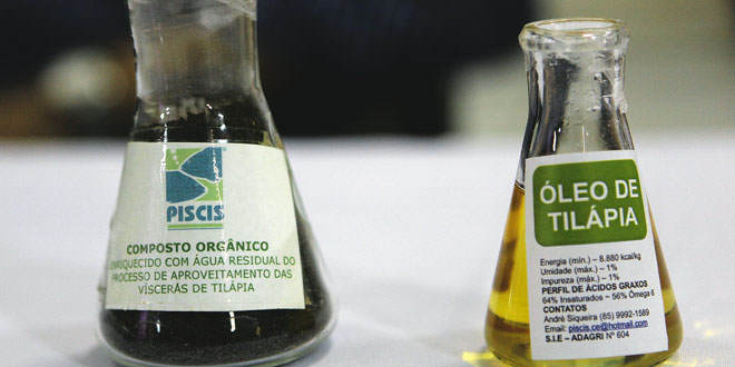 Retrospectiva Canal 2015: Opções De Matéria-Prima Para Produção De Biodiesel - 1