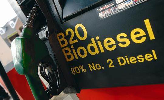 Governo Autoriza Ampliação De Mistura De Biodiesel Ao Diesel Fóssil - 1