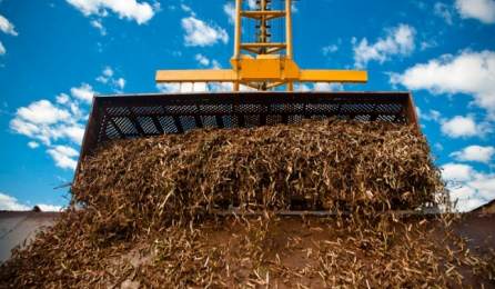 Leilão A-5: Biomassa Cadastra O Equivalente A Quase Três Usinas De Sobradinho - 1
