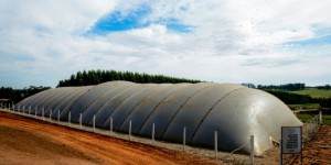 Biogas-300X150 - 2