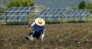 Energia Solar Na Área Rural É Opção De Economia - 6