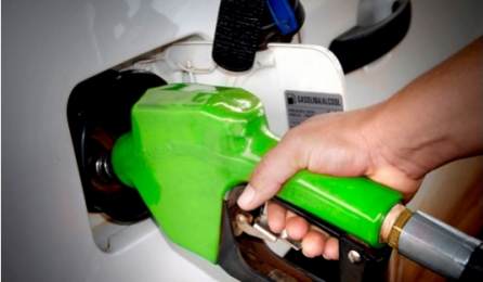 Comissão Discute Utilização De Biocombustíveis Para Reduzir Emissão De Gases - 1