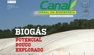 Canal-115_Capa-01 - 14