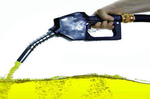 Biocombustíveis No Curto Prazo - 1