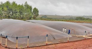 Goiás Tem Primeira Usina Fotovoltaica Flutuante Em Propriedade Rural No Brasil - 4