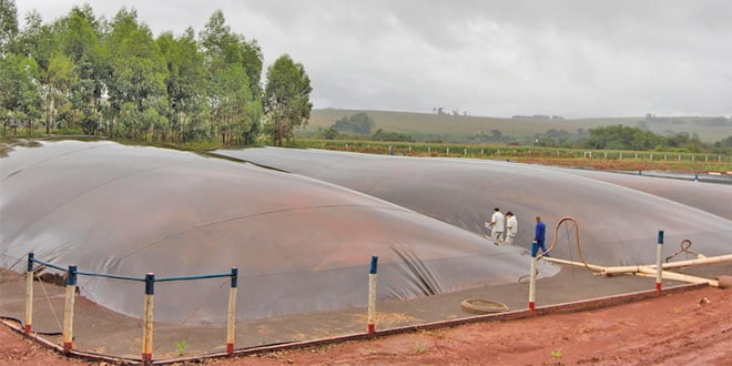 Biogás: Garantia Da Eficiência Energética Brasileira - 1