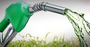 Biocombustíveis Entram Em Pauta Na Produção De Energia - 10