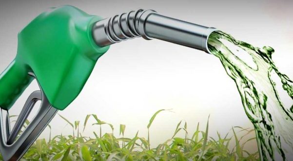 Comissão Mista Sobre Mudanças Climáticas Debaterá Biocombustíveis - 1