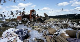 Humanidade Produz Mais De 2 Bilhões De Toneladas De Lixo Por Ano - 1