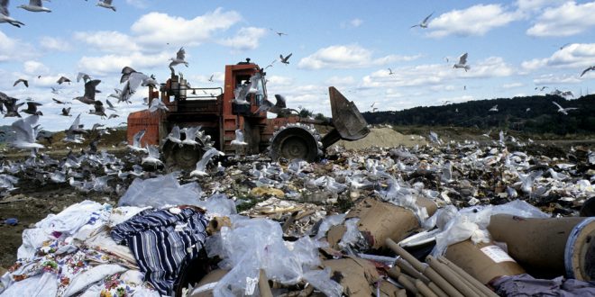 Humanidade Produz Mais De 2 Bilhões De Toneladas De Lixo Por Ano - 1