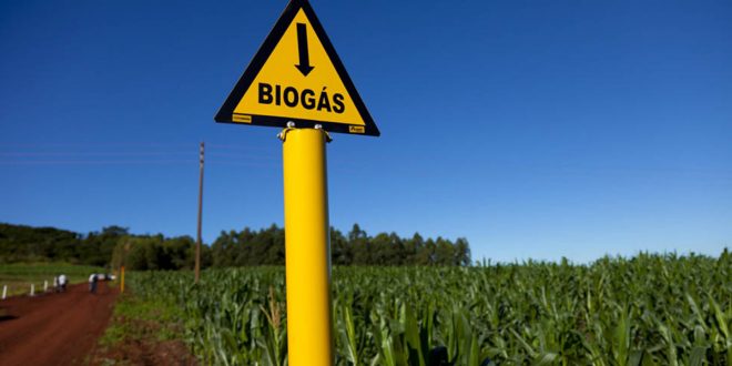 Potencial Do Biogás Cresce E Fonte Pode Substituir Grande Parte Da Demanda Nacional Por Diesel Ou Energia Elétrica - 1
