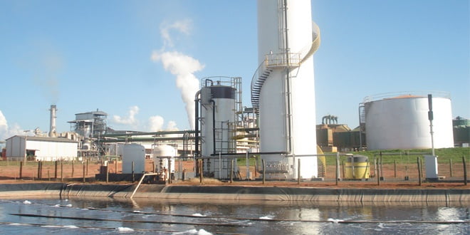 Biogás Pode Suprir Quase 40% Da Demanda Nacional De Energia Elétrica - 1