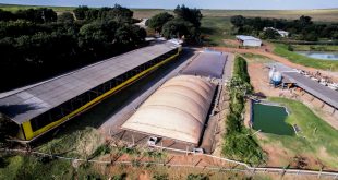 Potencial Do Biogás No Brasil É Enorme - 2