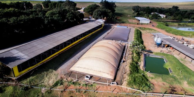 Potencial Do Biogás No Brasil É Enorme - 1