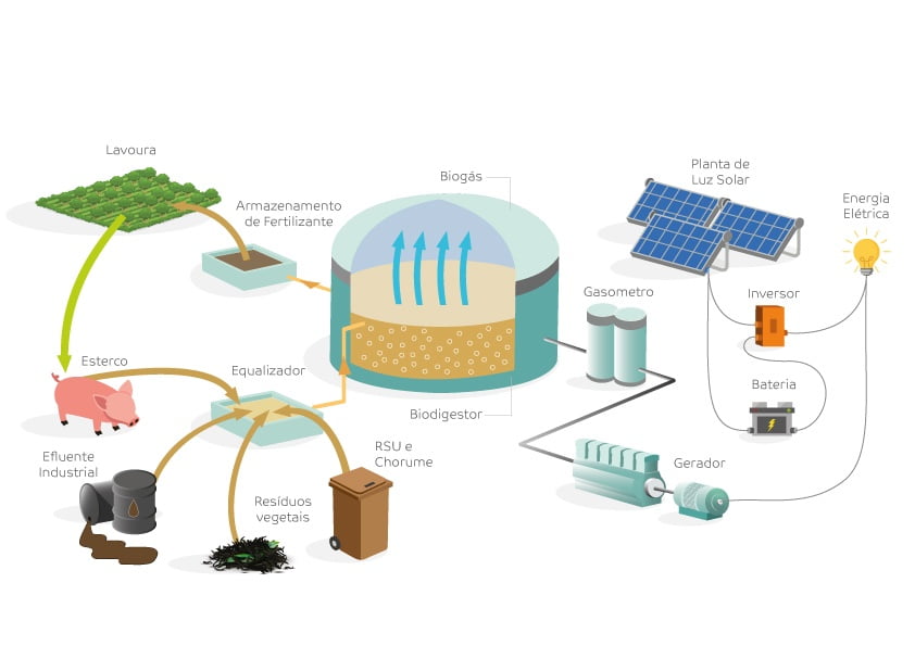 Usinas Híbridas De Energia Solar E Biogás Ampliam Potencial Energético De Produtores Rurais - 4