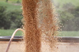 Tony Oliveira/Sistema CNA