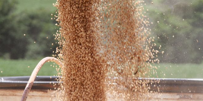 Tony Oliveira/Sistema CNA