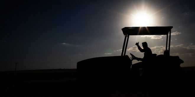 Setor Agropecuário Cria Mais De 9 Mil Empregos Formais De Janeiro A Julho Em Goiás - 1
