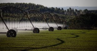 Wenderson Araujo-CNA