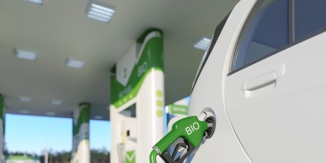 Créditos: Onurdongel l iStock