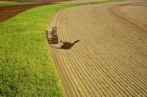 Usina São Martinho-Cortesia UNICA Foto:Tadeu Fesse